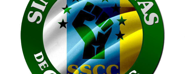 Huelga de Camareras de Pisos en Canarias, Resolución del Consejo General de afiliados y afiliadas a SSCC